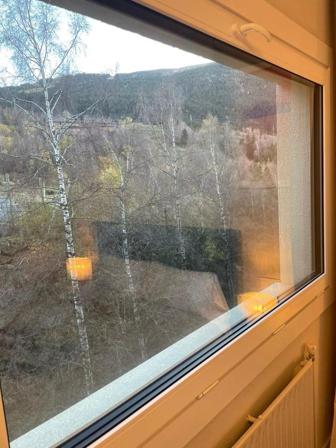 Renttarter Sans Espais El Tarter Eksteriør billede